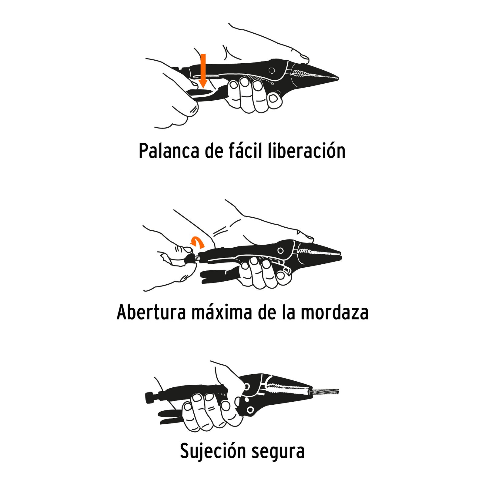 Second slide